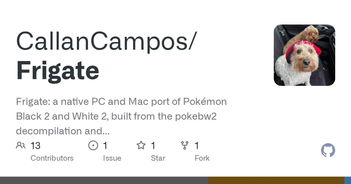 Pokemon Black 2 and White 2 (Nintendo DS): A decompilation turned into a native game, hour by hour.