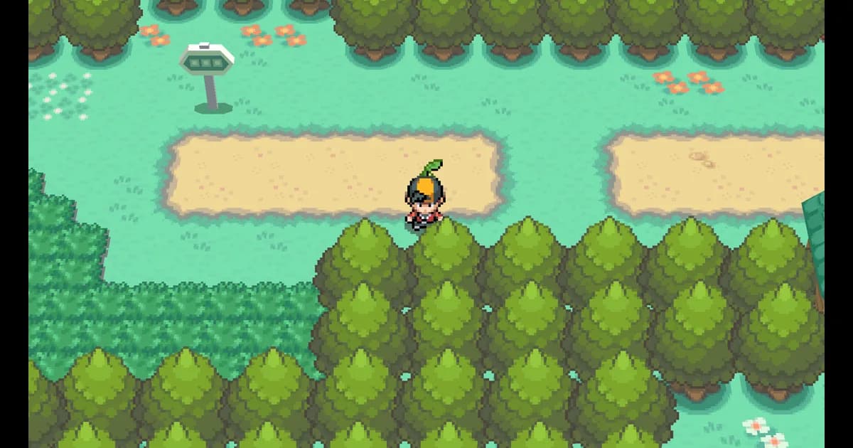 Pokemon SoulSilver (Nintendo DS, US): A DS Pokemon game on one wide screen, from a recompiled ARM9.