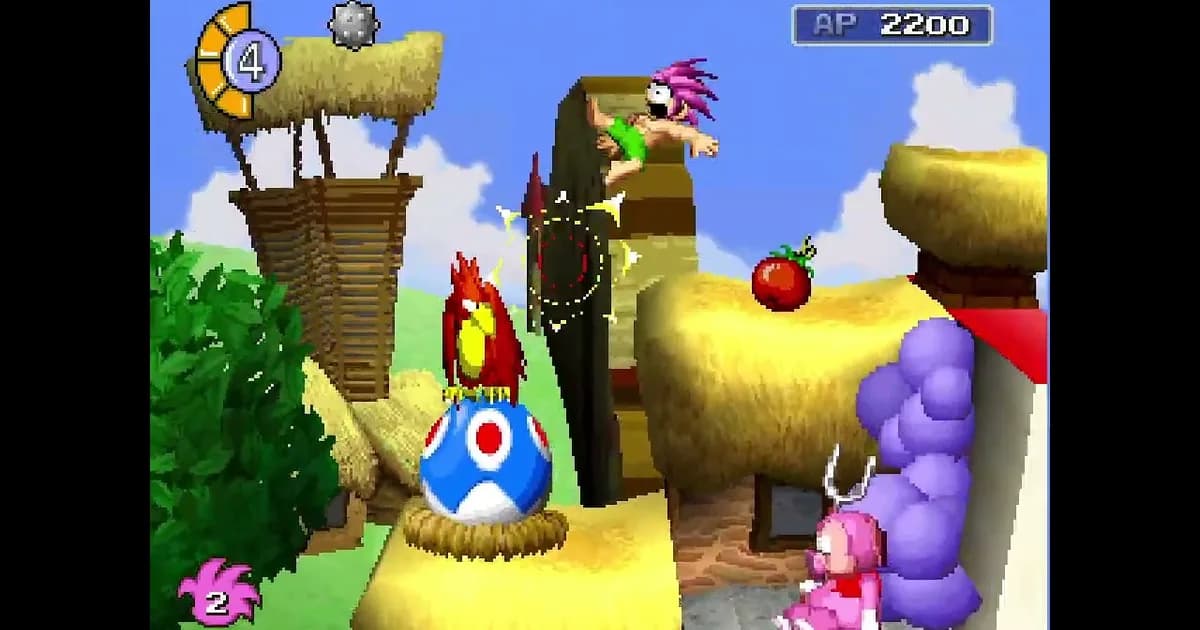 Tomba!: Static recompilation of Tomba! for native execution on modern platforms.